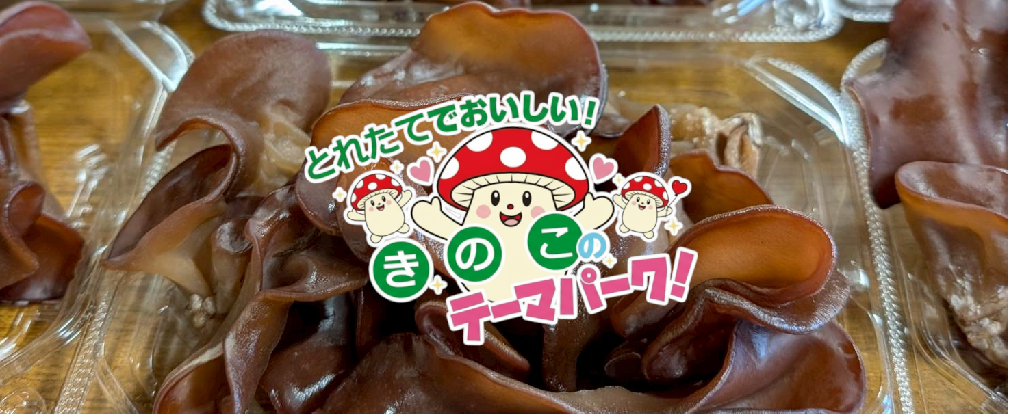 きのこテーマパークバナー